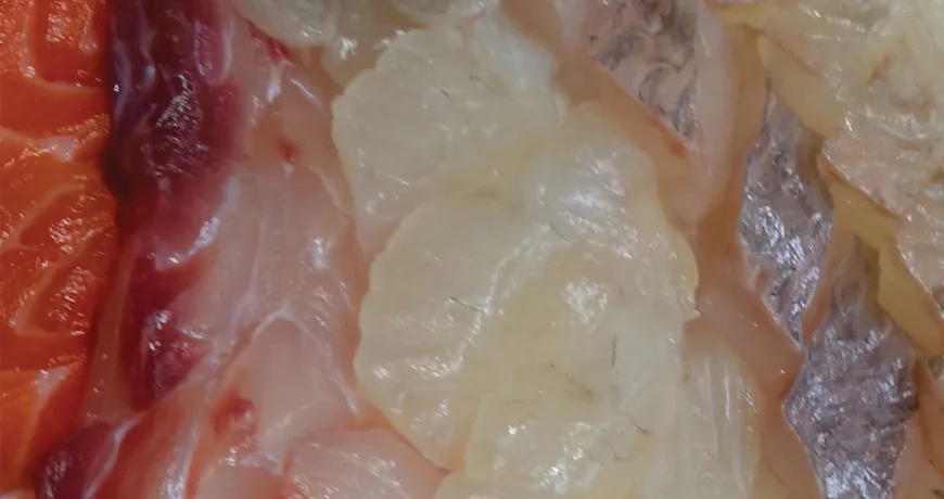 Modum hoe || Assorted Sliced Raw Fish, 生鱼片拼盘, 刺身の盛り合わせ, 모둠회