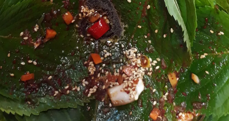 Kkaennip Kimchi || Perilla Leaf Kimchi, 苏子叶辛奇, 紫蘇葉辛奇, エゴマの葉キムチ, 깻잎김치 Perilla Leaf Kimchi || 苏子叶辛奇, 紫蘇葉辛奇, エゴマの葉キムチ, 깻잎김치