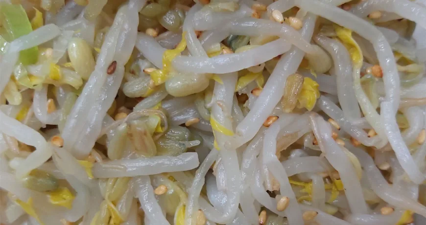 Sukjunamul muchim || Mung Bean Sprout Salad, 凉拌绿豆芽, 涼拌綠豆芽, もやしのナムル
