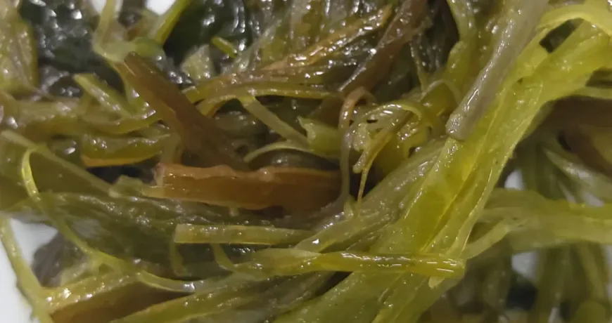 Miyeok-julgi Bokkeum || Korean-style sautéed seaweed stems, Sautéed sea plant, 미역줄기볶음