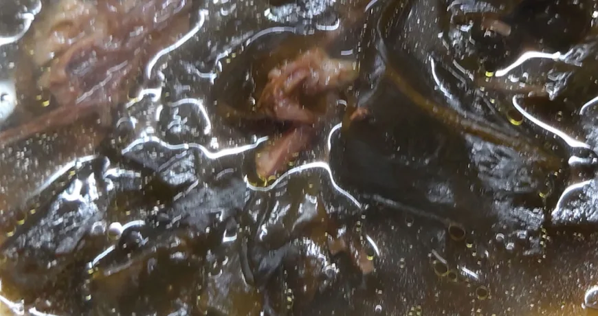 Sogogimiyeokguk || Beef and Seaweed Soup, 牛肉海带汤, 牛肉海帶湯, 牛肉入りワカメスープ, 소고기미역국