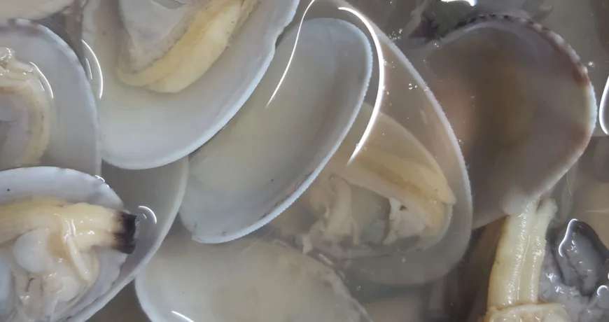 Bajirakjogaetguk || Clam Soup, 蛤蜊汤, 蛤蜊湯, アサリスープ, 바지락조갯국