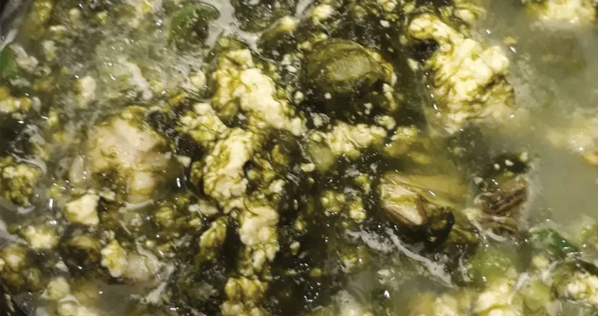 Maesaengigulguk || Seaweed Fulvescens and Oyster Soup, 海藻牡蛎汤, 海藻牡蠣湯, カプサアオノリとカキスープ, 매생이굴국 Maesaengigulguk || Seaweed Fulvescens and Oyster Soup, 海藻牡蛎汤, 海藻牡蠣湯, カプサアオノリとカキスープ, 매생이굴국