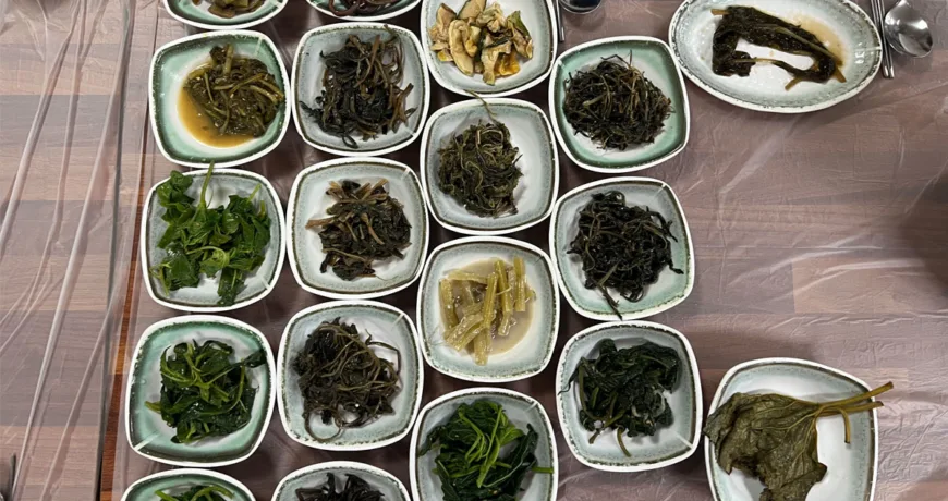Sanchaejeongsik || Wild Vegetable Dish Combo, 山菜套餐, 山菜套餐, 山菜定食, 산채 정식