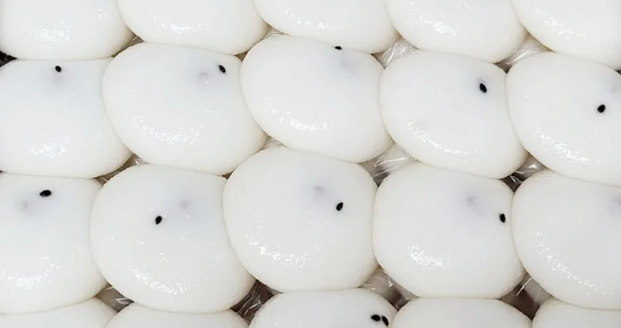 Jeungpyeon || Raised Rice Cake, 发糕, 發糕, 発酵蒸し餅, 증편