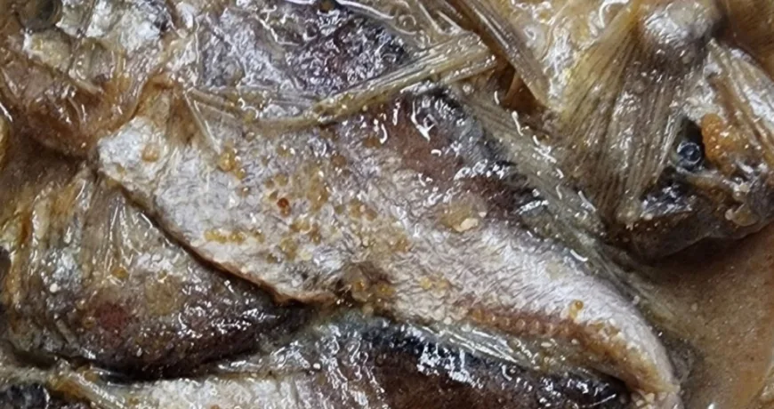 Hwangseogeojeot || Salted Small Yellow Croaker, 小黄花鱼酱, 小黃花魚醬, 金石魚の塩辛, 황석어젓