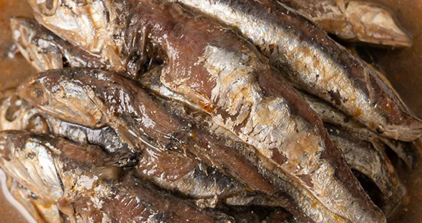 Myeolchijeot || Salted Anchovies, 鳀鱼酱, 鳀魚醬, カタクチイワシの塩辛, 멸치젓