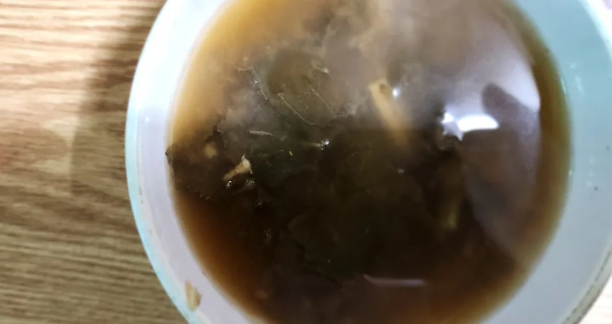 Siraegidoenjangguk || Dried Radish Leaf Soybean Paste Soup, 干萝卜缨大酱清汤, 幹蘿蔔纓大醬清湯, 干し菜っ葉テンジャンクク, 시래기된장국 Siraegidoenjangguk || Dried Radish Leaf Soybean Paste Soup, 干萝卜缨大酱清汤