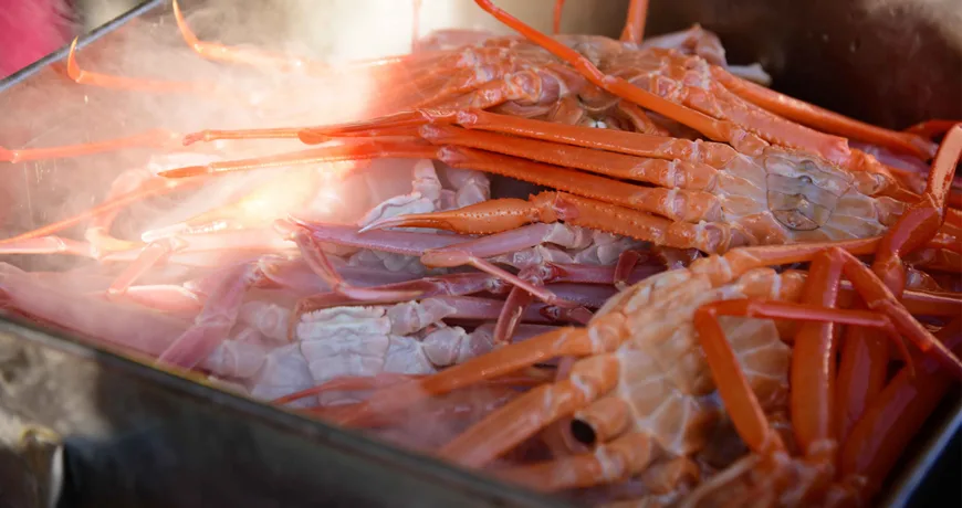 Honggejjim || Steamed Red Snow Crab, 홍게찜