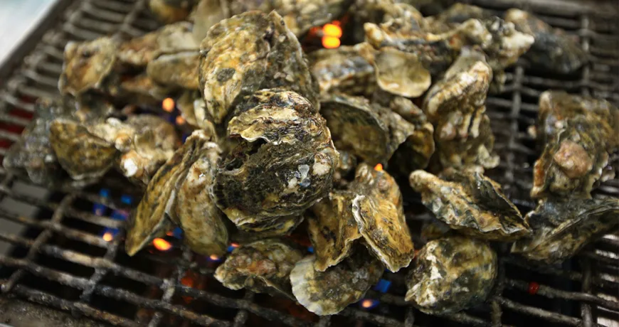 Gulgui || Grilled Oysters, 굴구이 :: k food.market