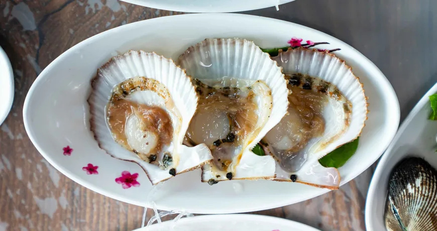 Garibihoe || Scallops, 가리비회 :: k food.market